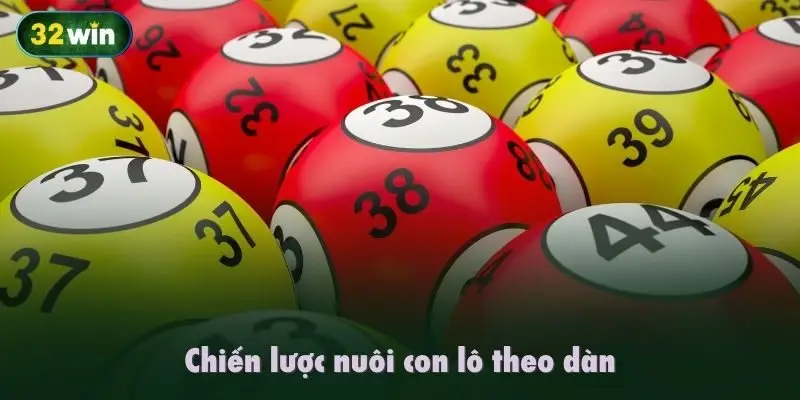 Chiến lược nuôi con lô theo dàn